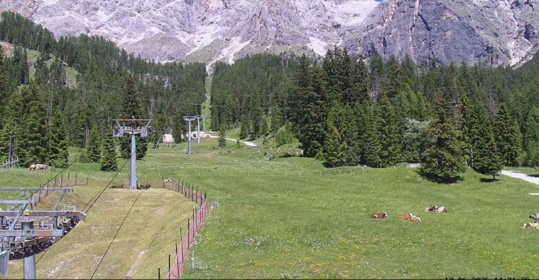 Webcam San Martino di Castrozza - Passo Rolle - Pista Col Verde