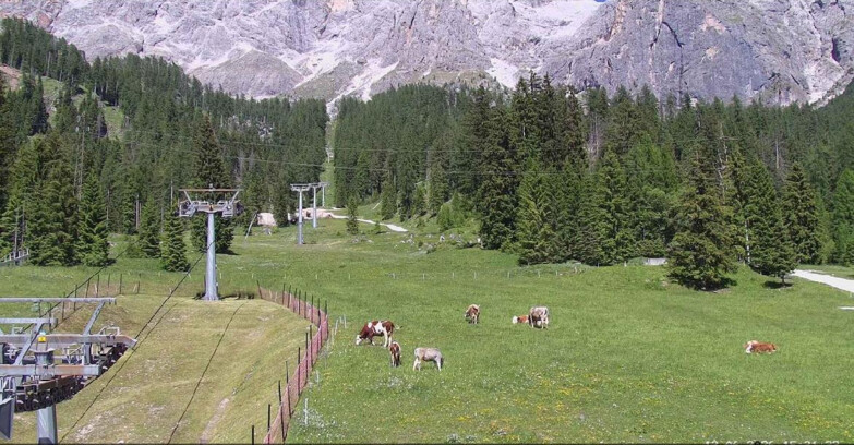 Webcam San Martino di Castrozza - Passo Rolle - Pista Col Verde