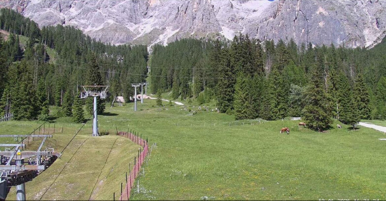 Webcam San Martino di Castrozza - Passo Rolle - Pista Col Verde