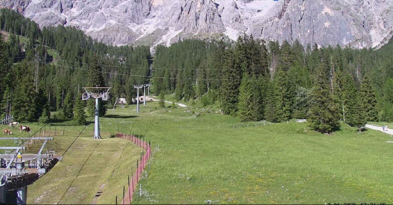 Webcam San Martino di Castrozza - Passo Rolle - Pista Col Verde
