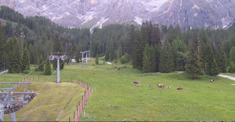 Webcam San Martino di Castrozza - Passo Rolle - Pista Col Verde
