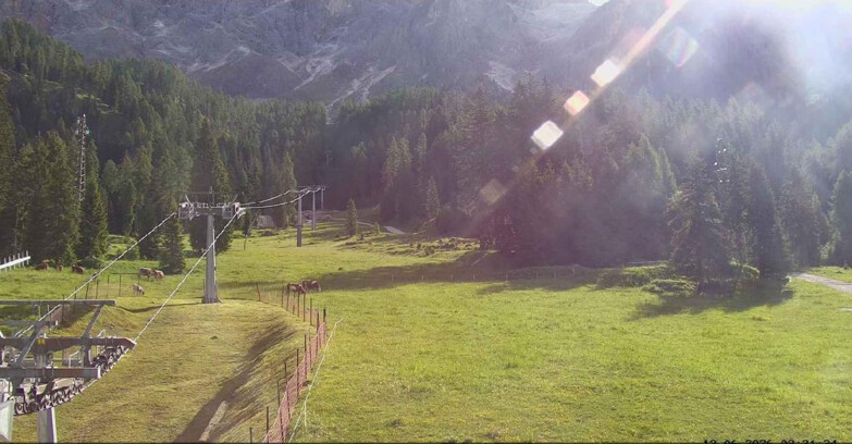 Webcam San Martino di Castrozza - Passo Rolle - Pista Col Verde