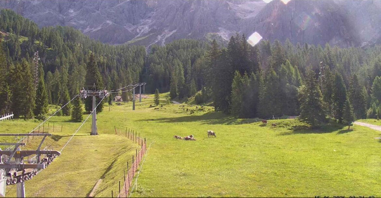 Webcam San Martino di Castrozza - Passo Rolle  - Pista Col Verde