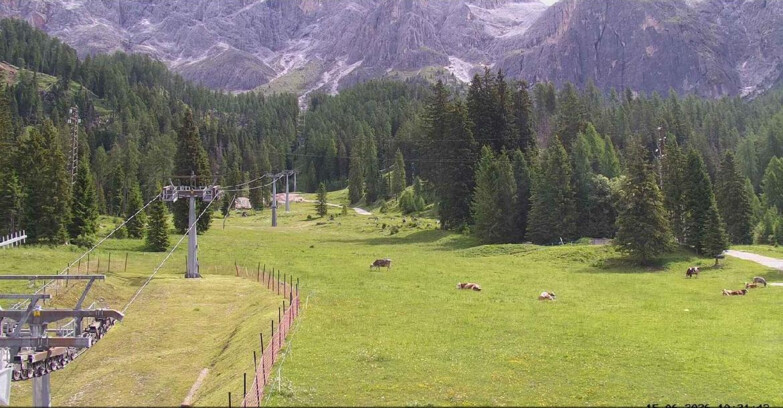 Webcam San Martino di Castrozza - Passo Rolle  - Pista Col Verde