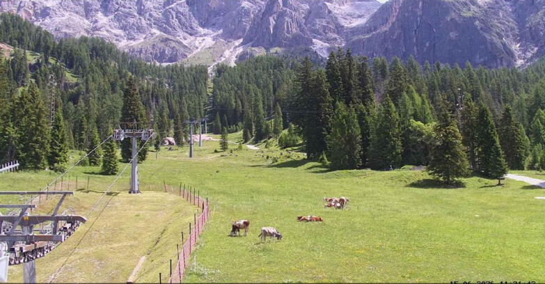 Webcam San Martino di Castrozza - Passo Rolle  - Pista Col Verde