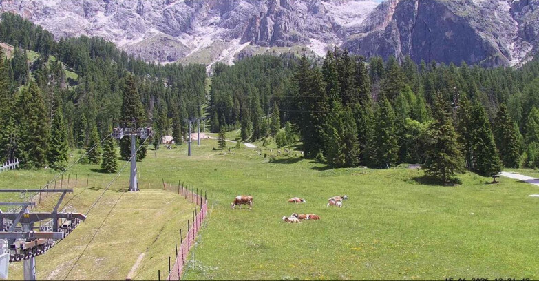 Webcam San Martino di Castrozza - Passo Rolle  - Pista Col Verde