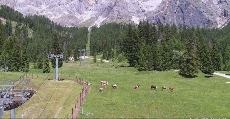Webcam San Martino di Castrozza - Passo Rolle - Pista Col Verde