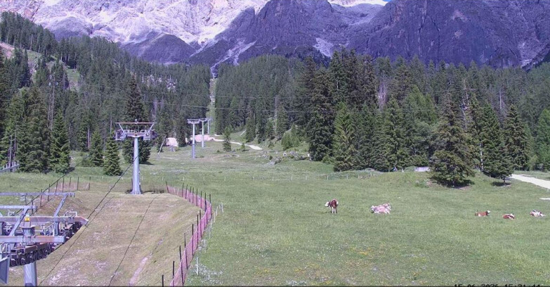 Webcam San Martino di Castrozza - Passo Rolle - Pista Col Verde