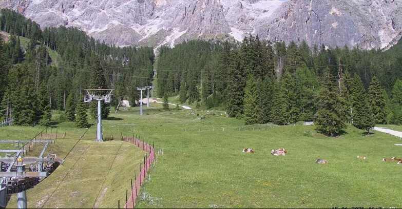 Webcam San Martino di Castrozza - Passo Rolle - Pista Col Verde