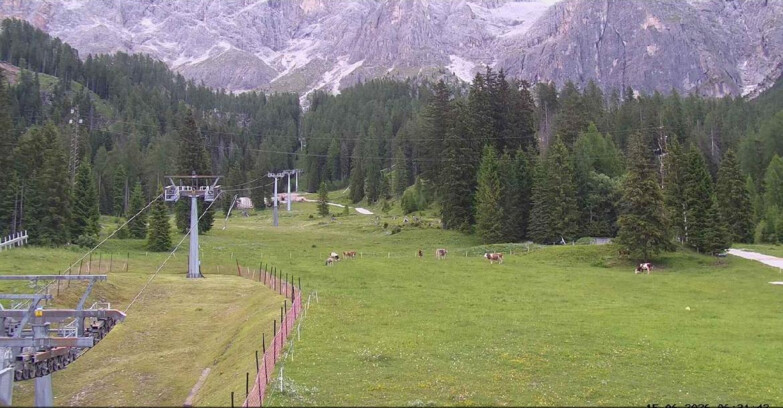 Webcam San Martino di Castrozza - Passo Rolle  - Pista Col Verde
