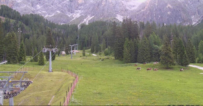 Webcam San Martino di Castrozza - Passo Rolle  - Pista Col Verde