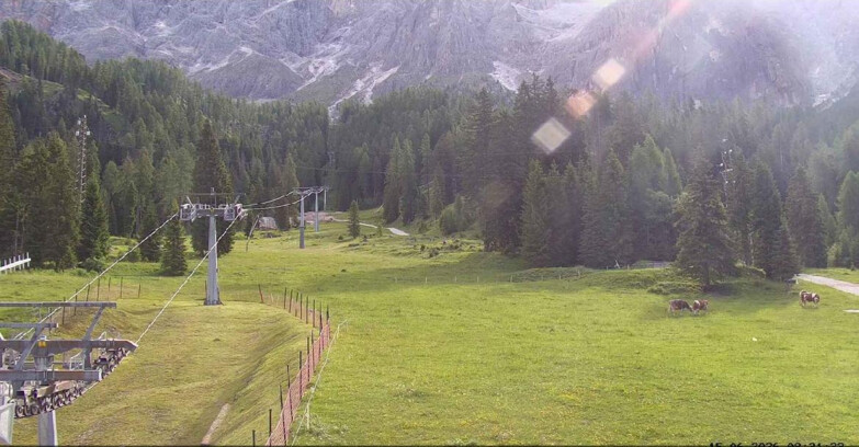 Webcam San Martino di Castrozza - Passo Rolle  - Pista Col Verde