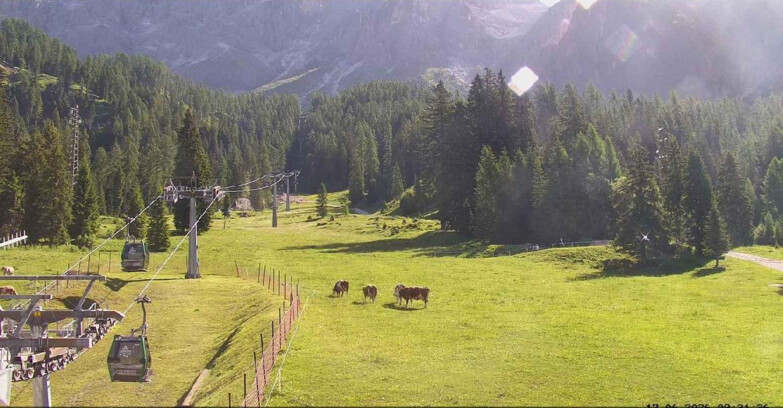 Webcam San Martino di Castrozza - Passo Rolle - Pista Col Verde