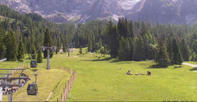 Webcam San Martino di Castrozza - Passo Rolle - Pista Col Verde