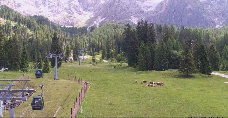 Webcam San Martino di Castrozza - Passo Rolle - Pista Col Verde