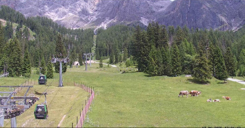 Webcam San Martino di Castrozza - Passo Rolle - Pista Col Verde