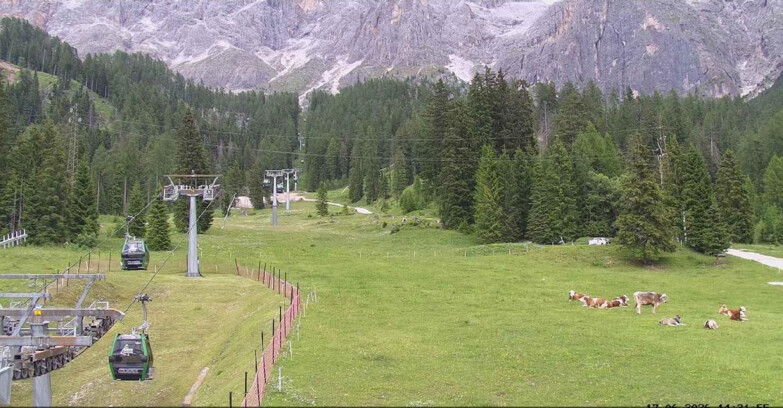 Webcam San Martino di Castrozza - Passo Rolle - Pista Col Verde