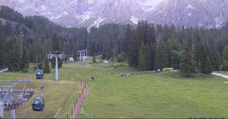 Webcam San Martino di Castrozza - Passo Rolle - Pista Col Verde