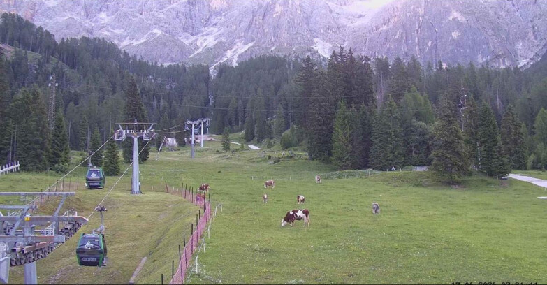 Webcam San Martino di Castrozza - Passo Rolle - Pista Col Verde