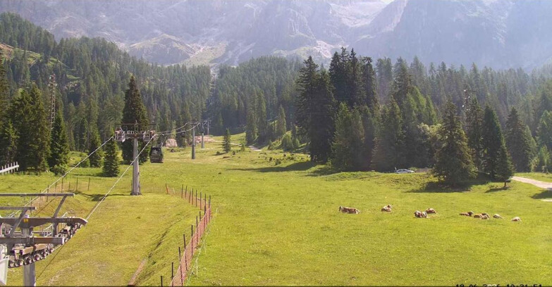 Webcam San Martino di Castrozza - Passo Rolle - Pista Col Verde