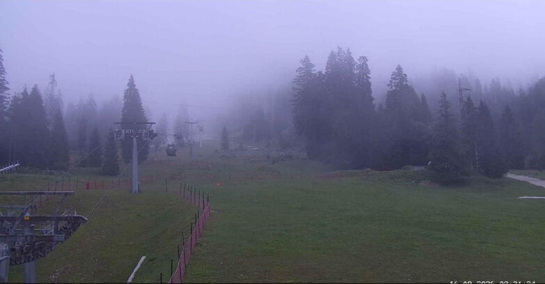 Webcam San Martino di Castrozza - Passo Rolle  - Pista Col Verde
