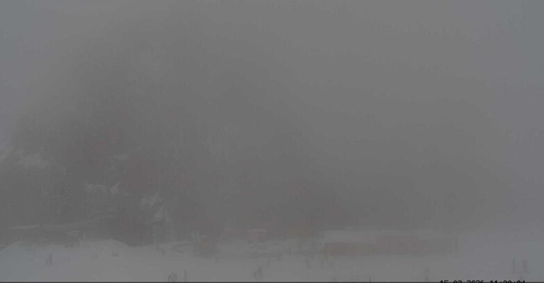 Webcam Vigo di Fassa-Pera-Ciampedìe - Vigo - Ciampedie - Baby Park