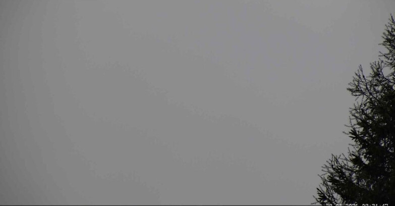 Webcam San Martino di Castrozza - Passo Rolle  - Punta Ces 