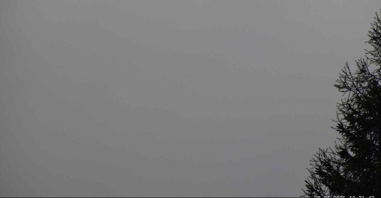 Webcam San Martino di Castrozza - Passo Rolle  - Punta Ces 