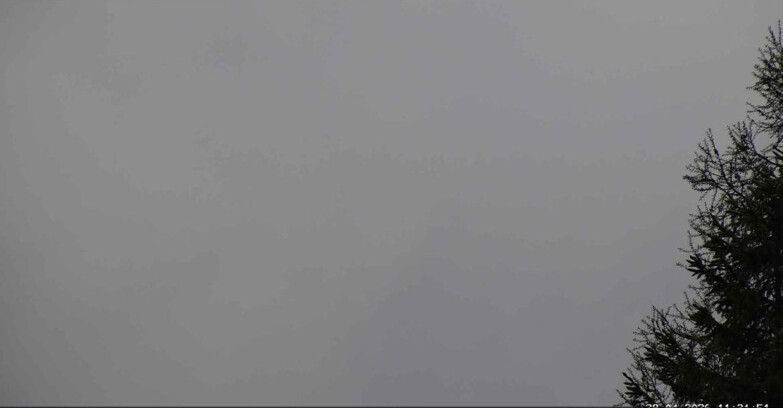 Webcam San Martino di Castrozza - Passo Rolle  - Punta Ces 