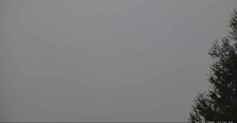 Webcam San Martino di Castrozza - Passo Rolle  - Punta Ces 