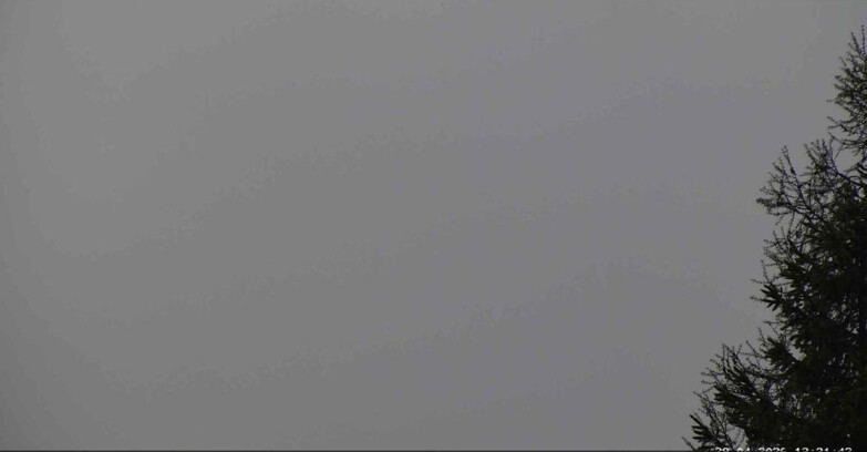 Webcam San Martino di Castrozza - Passo Rolle  - Punta Ces 