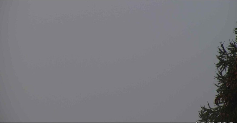 Webcam San Martino di Castrozza - Passo Rolle - Punta Ces 