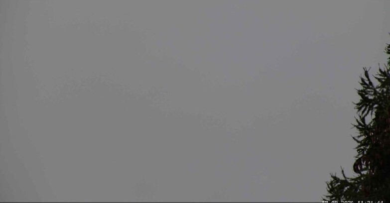 Webcam San Martino di Castrozza - Passo Rolle - Punta Ces 