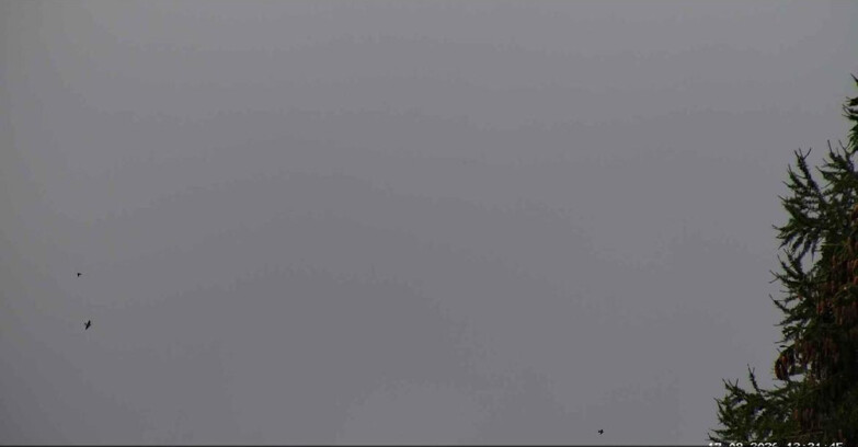 Webcam San Martino di Castrozza - Passo Rolle - Punta Ces 