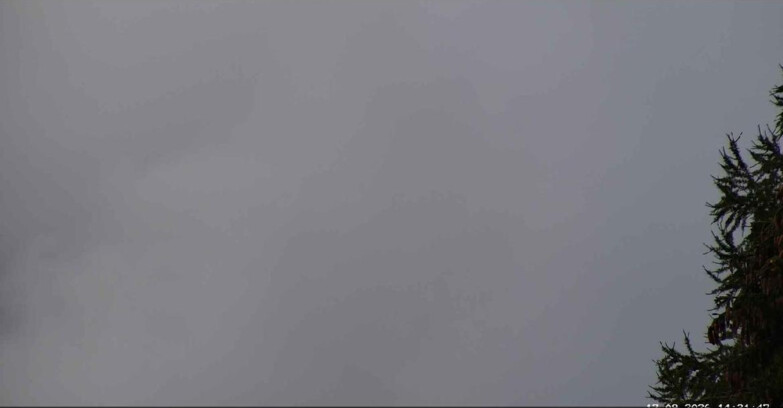 Webcam San Martino di Castrozza - Passo Rolle - Punta Ces 
