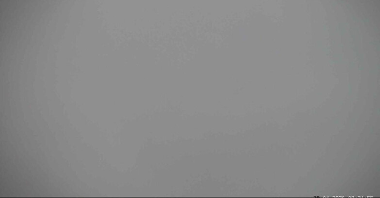 Webcam San Martino di Castrozza - Passo Rolle  - Cima Tognola