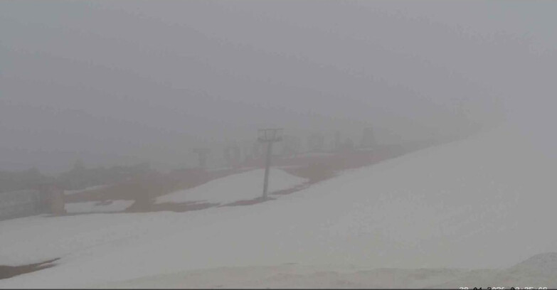 Webcam San Martino di Castrozza - Passo Rolle  - Tognola Park