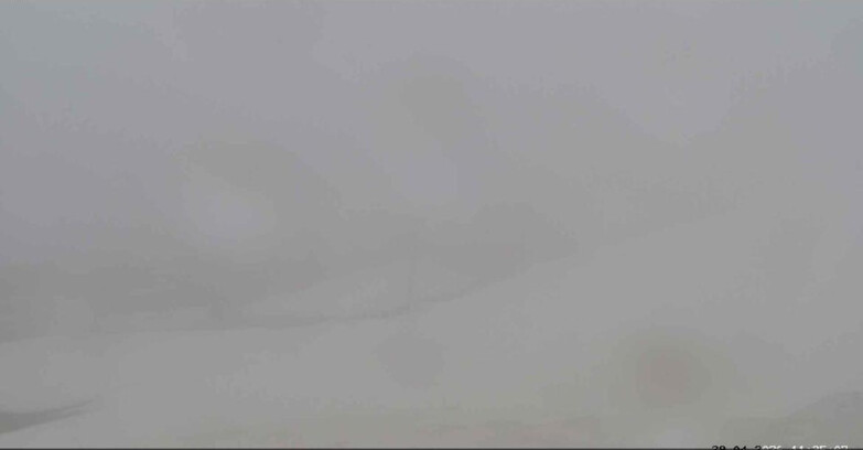 Webcam San Martino di Castrozza - Passo Rolle  - Tognola Park