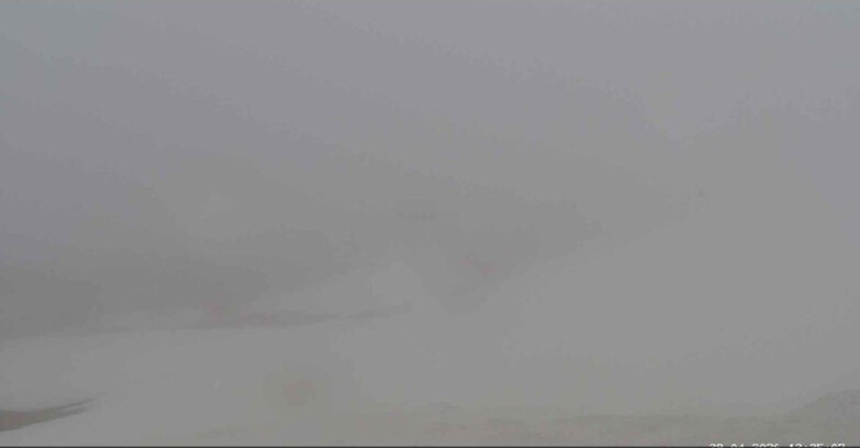 Webcam San Martino di Castrozza - Passo Rolle  - Tognola Park