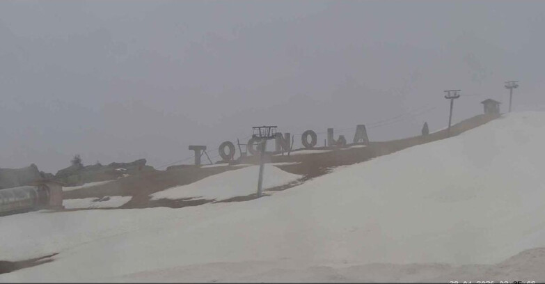 Webcam San Martino di Castrozza - Passo Rolle  - Tognola Park