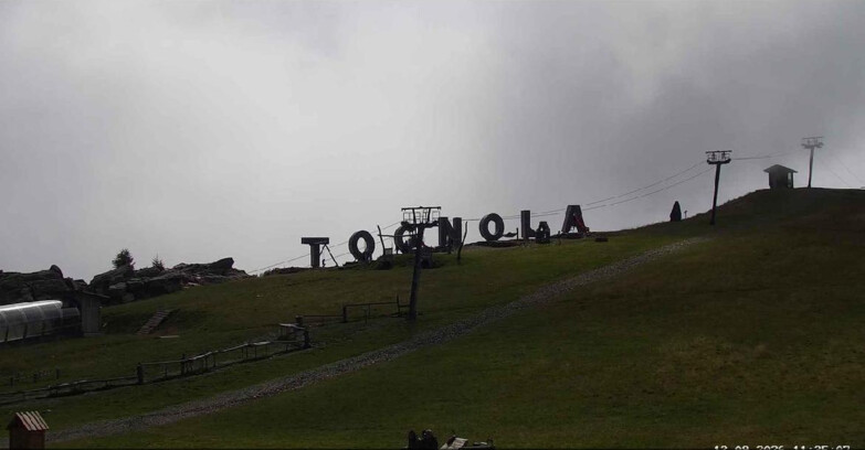 Webcam Сан-Мартино-ди-Кастроцца - Пассо-Ролле - Tognola Park