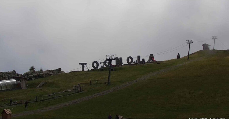 Webcam Сан-Мартино-ди-Кастроцца - Пассо-Ролле - Tognola Park