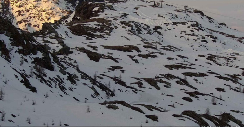 Webcam Сан-Мартино-ди-Кастроцца - Пассо-Ролле - Sentiero delle Marmotte