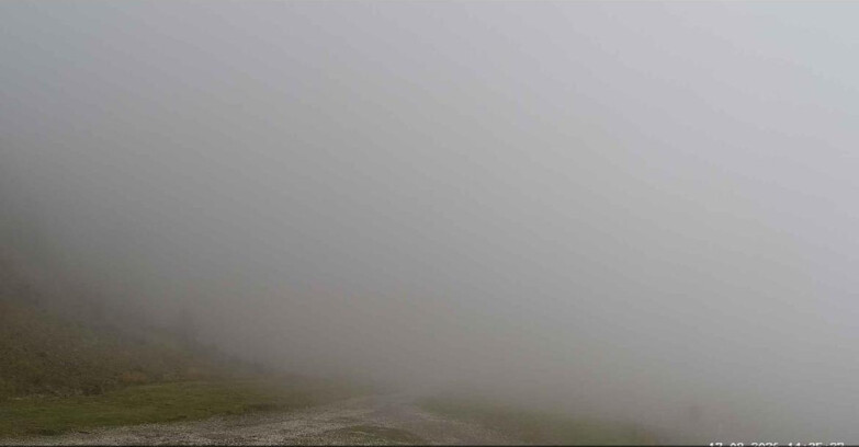 Webcam San Martino di Castrozza - Passo Rolle - Conca