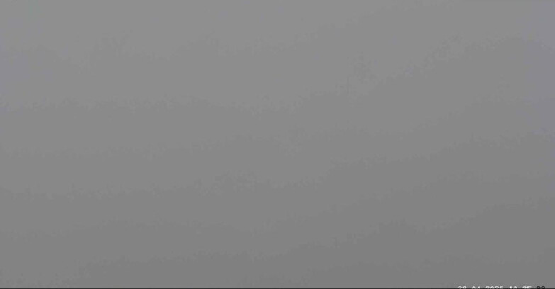 Webcam San Martino di Castrozza - Passo Rolle  - Malga Tognola