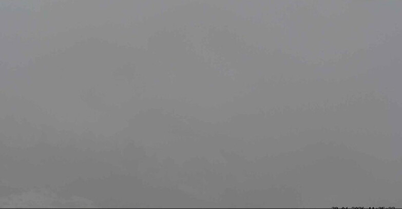 Webcam San Martino di Castrozza - Passo Rolle  - Malga Tognola