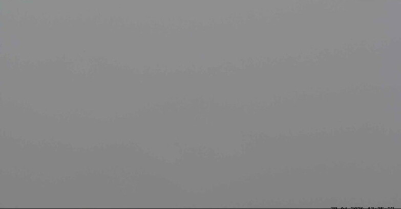 Webcam San Martino di Castrozza - Passo Rolle  - Malga Tognola