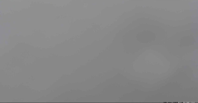 Webcam San Martino di Castrozza - Passo Rolle  - Malga Tognola