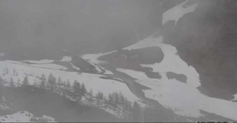 Webcam San Martino di Castrozza - Passo Rolle  - Malga Tognola