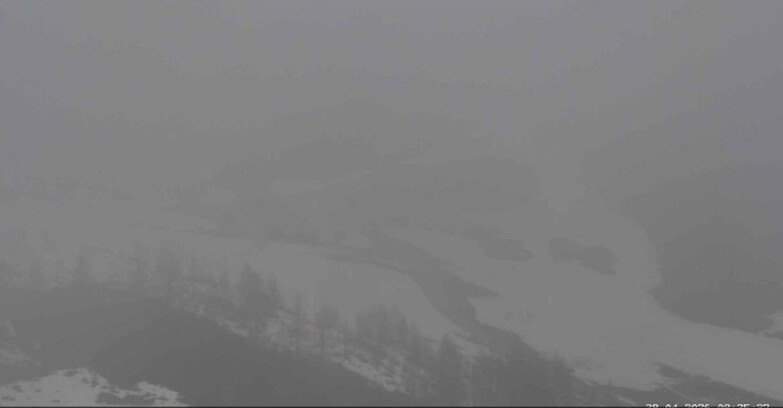 Webcam San Martino di Castrozza - Passo Rolle  - Malga Tognola